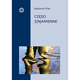 Części z(n)amienne