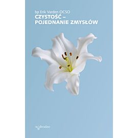 Czystość – pojednanie zmysłów (e-book)