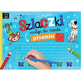 Szlaczki. Wstęp do nauki pisania