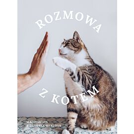 Rozmowa z kotem