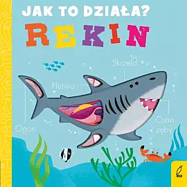 Jak to działa. Rekin