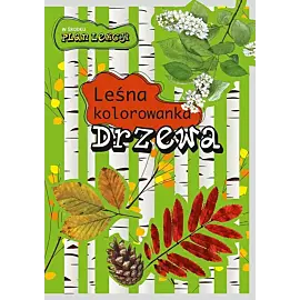 Drzewa. Leśna kolorowanka