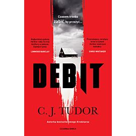 Debit (e-book)