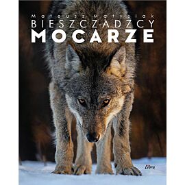 Bieszczadzcy mocarze