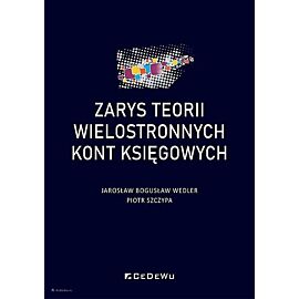 Zarys teorii wielostronnych kont księgowych