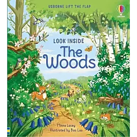 Look Inside the Woods