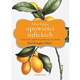 Mała księga opowieści sufickich