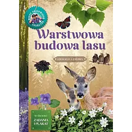 Młody Obserwator Przyrody. Warstwowa budowa lasu