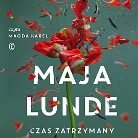 Czas zatrzymany (audiobook MP3)