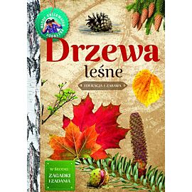 Drzewa leśne. Młody obserwator przyrody
