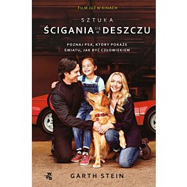 Sztuka ścigania się w deszczu