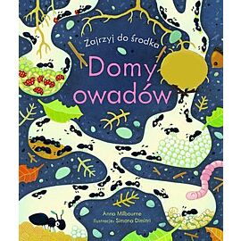 Domy owadów. Zajrzyj do środka