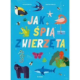 Jak śpią zwierzęta