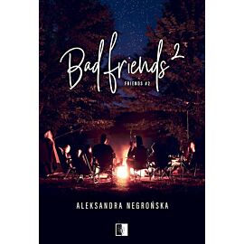 Bad friends. Tom 2