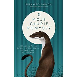 Moje głupie pomysły