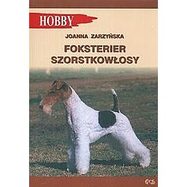 Foksterier szorstkołosy