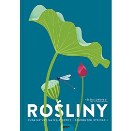Rośliny. Cuda natury na wyjątkowych ażurowych rycinach.