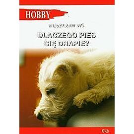 Dlaczego pies się drapie?