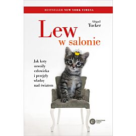 Lew w salonie.
