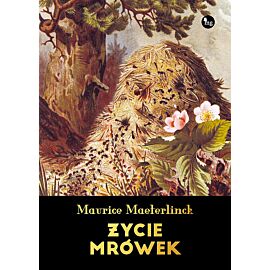 Życie mrówek