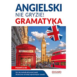 Angielski. Gramatyka. Nie gryzie!