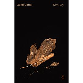 Kontury (e-book)