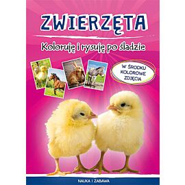 Zwierzęta Koloruję i rysuję po śladzie
