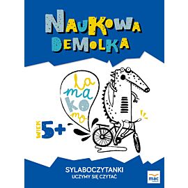 Sylaboczytanki. Uczymy się czytać  5+