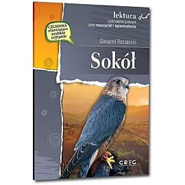 Sokół