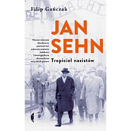 Jan Sehn (e-book)