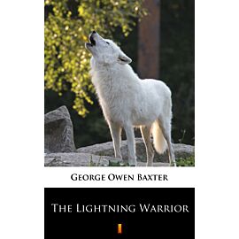 The Lightning Warrior (e-book)
