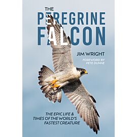 The Peregrine Falcon