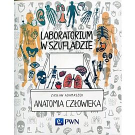 Laboratorium w szufladzie. Anatomia człowieka
