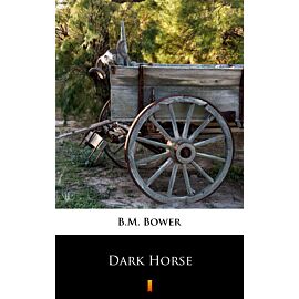 Dark Horse (e-book)