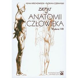 Zarys anatomii człowieka