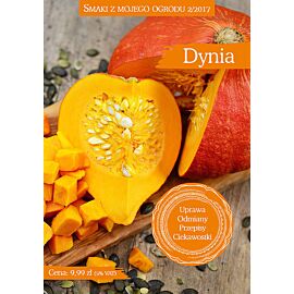 Dynia