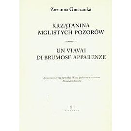 Krzątanina mglistych pozorów