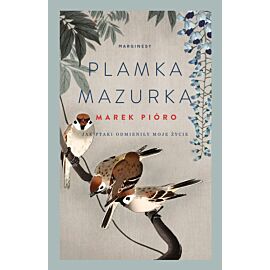 Plamka mazurka