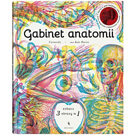 Gabinet anatomii. Wyd II