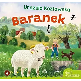 Baranek