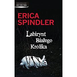 Labirynt białego królika