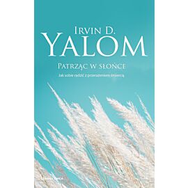 Patrząc w słońce (e-book)