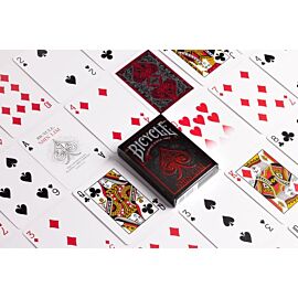 Bicycle Shin Lim