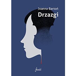Drzazgi