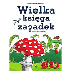 Wielka księga zagadek