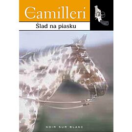 Ślad na piasku (e-book)