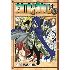 Fairy Tail - 43