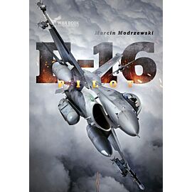 Pilot F-16