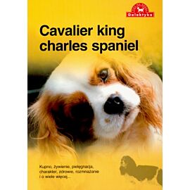 Cavalier king charles spaniel pies na medal wyd. 2011