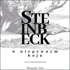 W niepewnym boju (audiobook MP3)